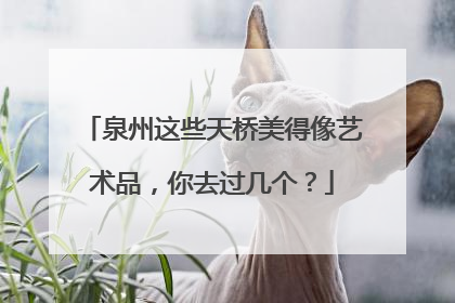 泉州这些天桥美得像艺术品，你去过几个？
