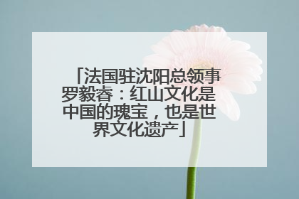 法国驻沈阳总领事罗毅睿：红山文化是中国的瑰宝，也是世界文化遗产