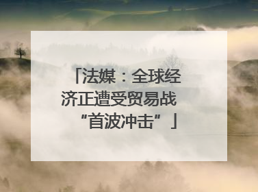 法媒：全球经济正遭受贸易战“首波冲击”