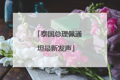 泰国总理佩通坦最新发声