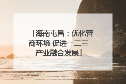 海南屯昌：优化营商环境 促进一二三产业融合发展