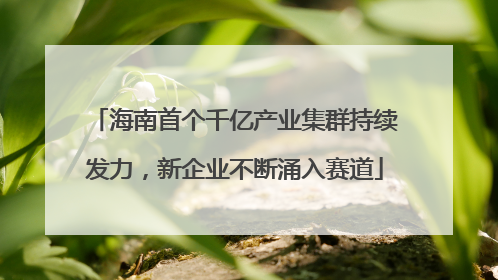 海南首个千亿产业集群持续发力，新企业不断涌入赛道