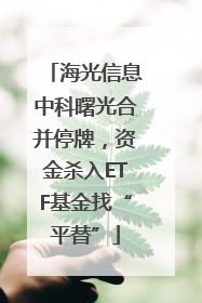 海光信息中科曙光合并停牌，资金杀入ETF基金找“平替”