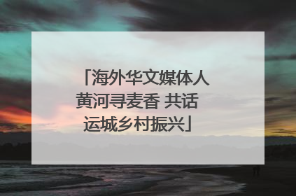海外华文媒体人黄河寻麦香 共话运城乡村振兴