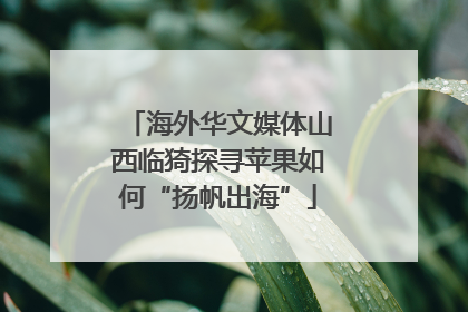 海外华文媒体山西临猗探寻苹果如何“扬帆出海”