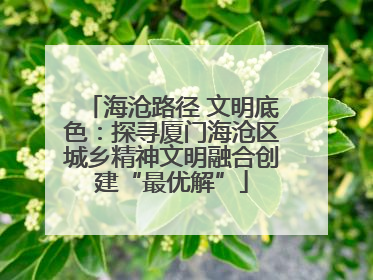 海沧路径 文明底色：探寻厦门海沧区城乡精神文明融合创建“最优解”