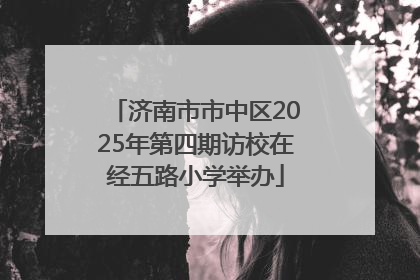 济南市市中区2025年第四期访校在经五路小学举办