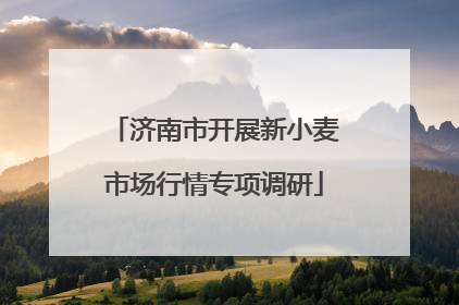 济南市开展新小麦市场行情专项调研