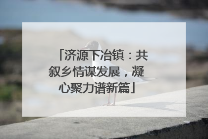 济源下冶镇：共叙乡情谋发展，凝心聚力谱新篇