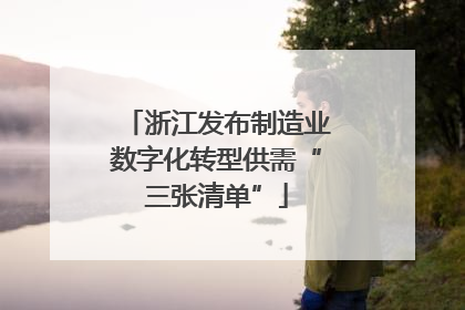 浙江发布制造业数字化转型供需“三张清单”