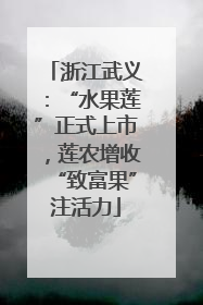 浙江武义：“水果莲”正式上市，莲农增收“致富果”注活力