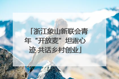 浙江象山新联会青年“开放麦”坦露心迹 共话乡村创业