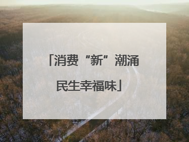 消费“新”潮涌 民生幸福味