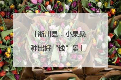 淅川县：小果桑种出好“钱”景
