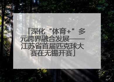 深化“体育+”多元跨界融合发展——江苏省首届匹克球大赛在无锡开赛