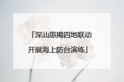 深汕惠揭四地联动开展海上防台演练