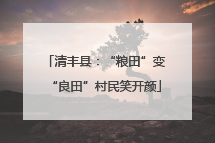 清丰县：“粮田”变“良田”村民笑开颜