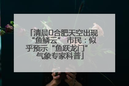 清晨﻿合肥天空出现“鱼鳞云” 市民：似乎预示“鱼跃龙门” 气象专家科普