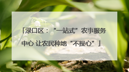 渌口区：“一站式”农事服务中心 让农民种地“不操心”