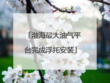渤海最大油气平台完成浮托安装