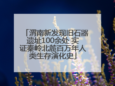 渭南新发现旧石器遗址100余处 实证秦岭北麓百万年人类生存演化史