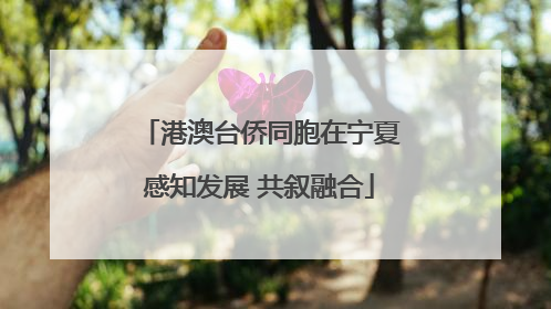 港澳台侨同胞在宁夏感知发展 共叙融合