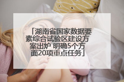 湖南省国家数据要素综合试验区建设方案出炉 明确5个方面20项重点任务