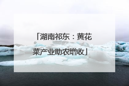 湖南祁东：黄花菜产业助农增收