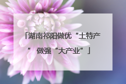 湖南祁阳做优“土特产” 做强“大产业”