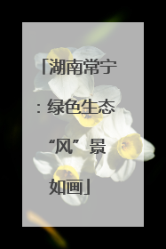 湖南常宁：绿色生态 “风”景如画