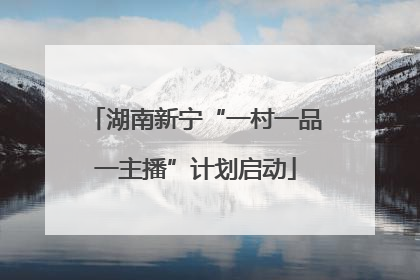 湖南新宁“一村一品一主播”计划启动