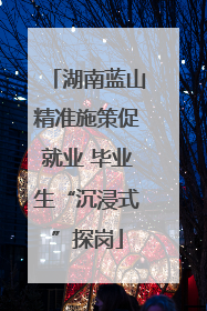 湖南蓝山精准施策促就业 毕业生“沉浸式”探岗