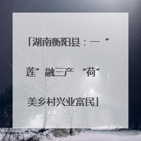 湖南衡阳县：一“莲”融三产 “荷”美乡村兴业富民