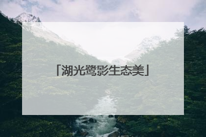 湖光鹭影生态美