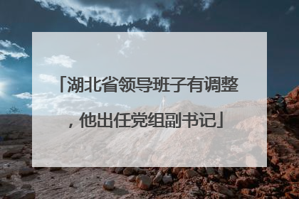 湖北省领导班子有调整，他出任党组副书记