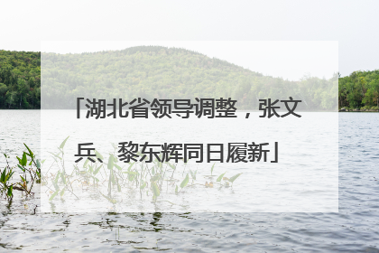 湖北省领导调整，张文兵、黎东辉同日履新