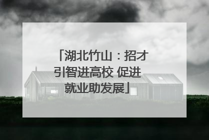 湖北竹山：招才引智进高校 促进就业助发展