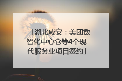 湖北咸安：美团数智化中心仓等4个现代服务业项目签约