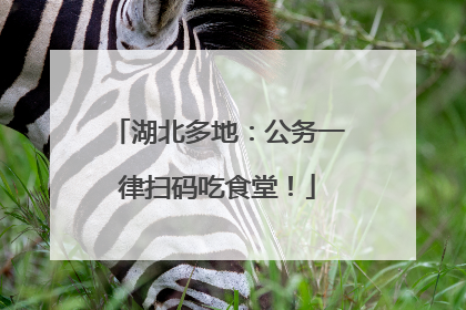 湖北多地：公务一律扫码吃食堂！