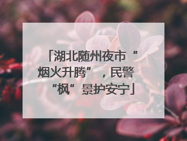 湖北随州夜市“烟火升腾”，民警“枫”景护安宁
