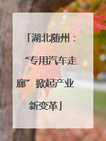 湖北随州：“专用汽车走廊”掀起产业新变革