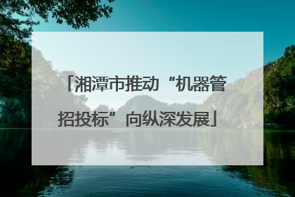 湘潭市推动“机器管招投标”向纵深发展