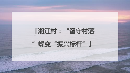 湘江村：“留守村落”蝶变“振兴标杆”