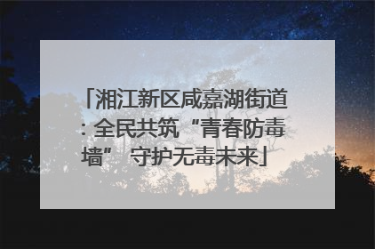 湘江新区咸嘉湖街道：全民共筑“青春防毒墙” 守护无毒未来