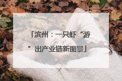 滨州：一只虾“游”出产业链新图景