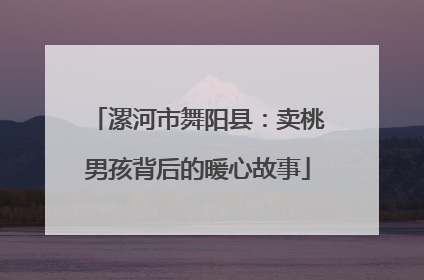 漯河市舞阳县:卖桃男孩背后的暖心故事
