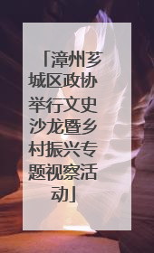 漳州芗城区政协举行文史沙龙暨乡村振兴专题视察活动