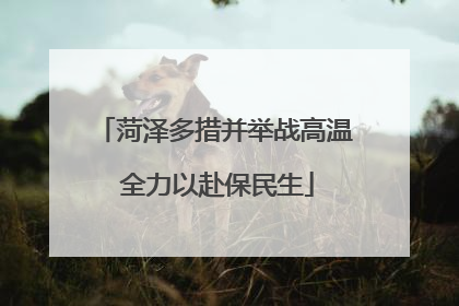 菏泽多措并举战高温 全力以赴保民生