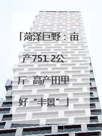菏泽巨野：亩产751.2公斤  高产田里好“丰景”