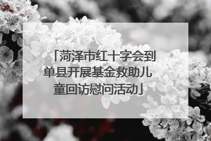 菏泽市红十字会到单县开展基金救助儿童回访慰问活动